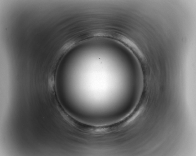 X0000099570841200805231530