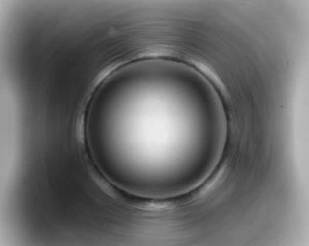 X0000099570842200805231530