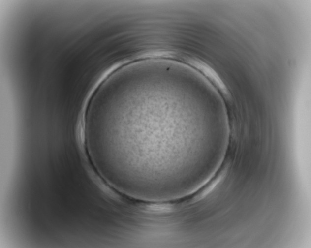 X0000099570844200805231530