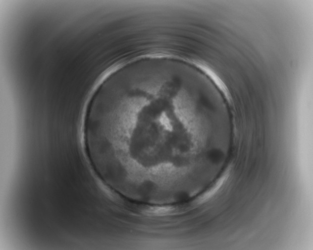 X0000099570845200805231530