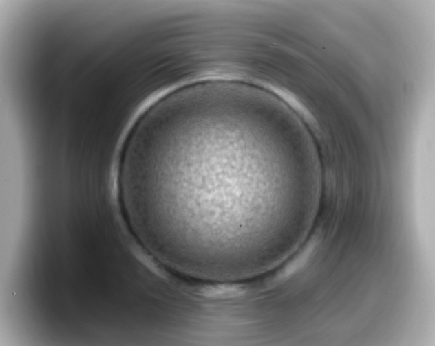 X0000099570846200805231530