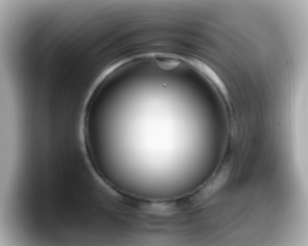 X0000099570847200805231530