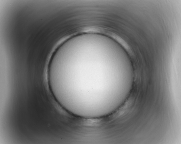 X0000099570848200805231530