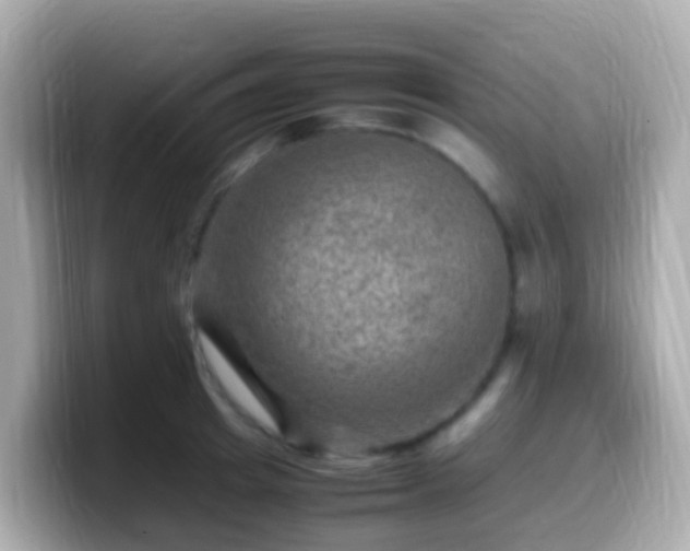 X0000099570849200805231530