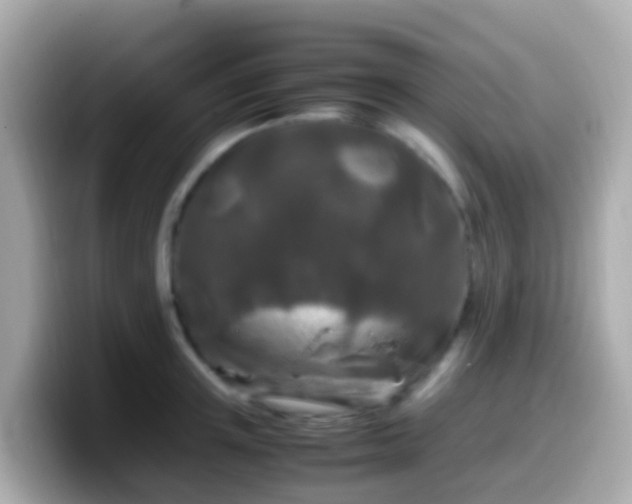 X0000099570851200805231530