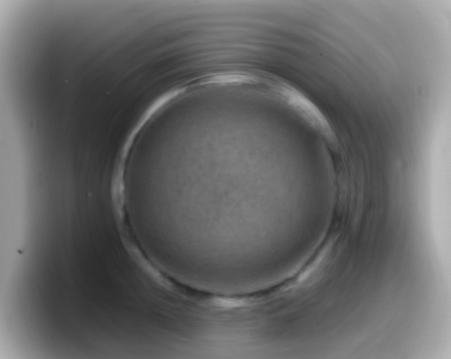 X0000099570852200805231530