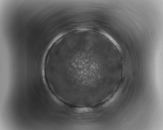 X0000099570853200805231530