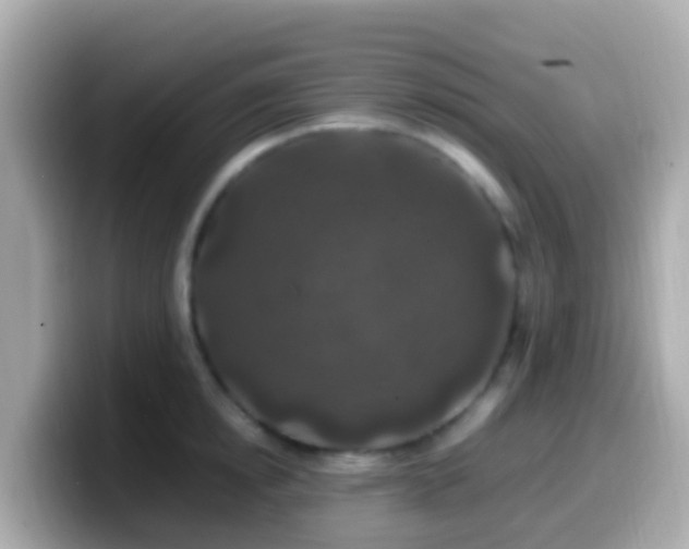 X0000099570854200805231530