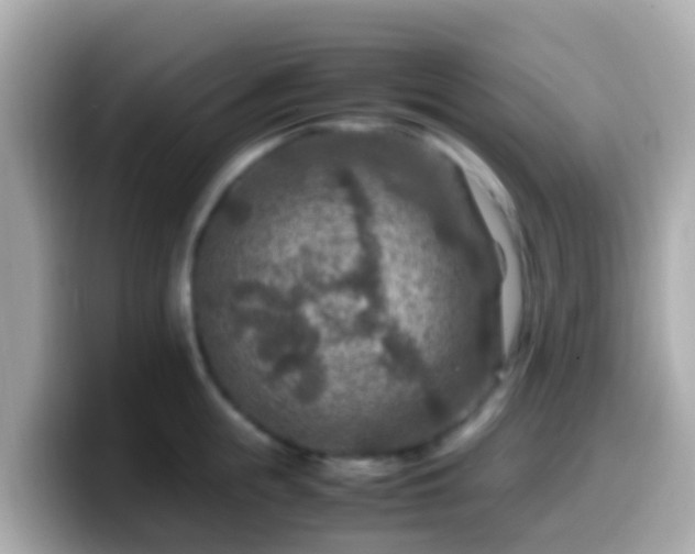 X0000099570855200805231530