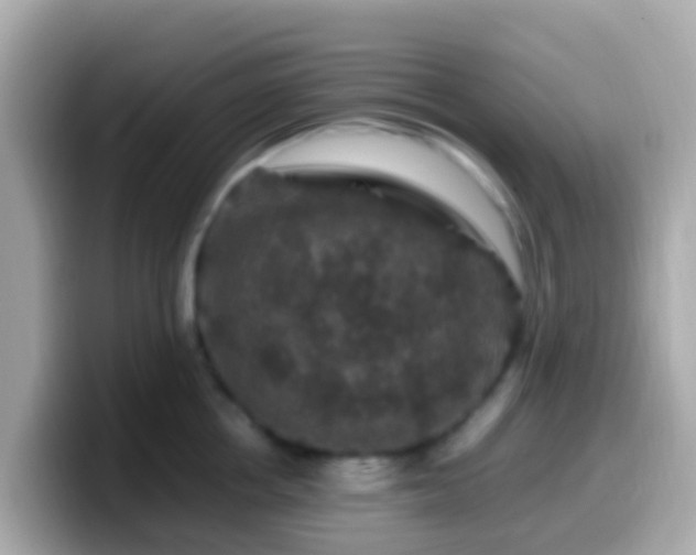 X0000099570858200805231530