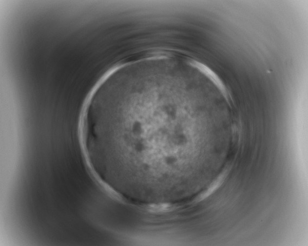 X0000099570859200805231530