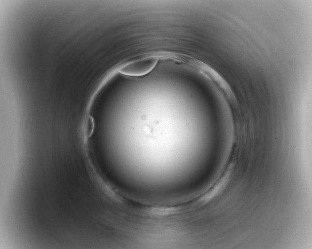 X0000099570860200805231530