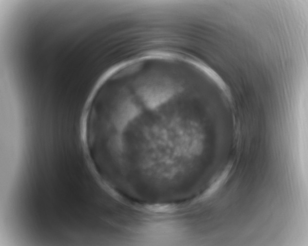 X0000099570862200805231530