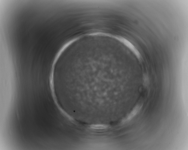 X0000099570863200805231530