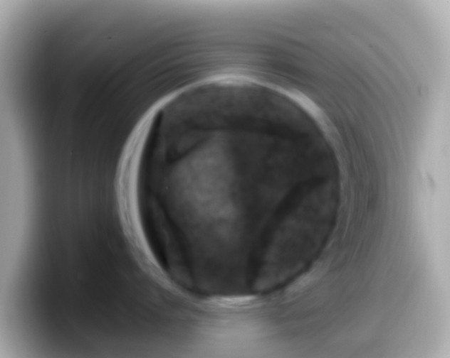 X0000099570864200805231530