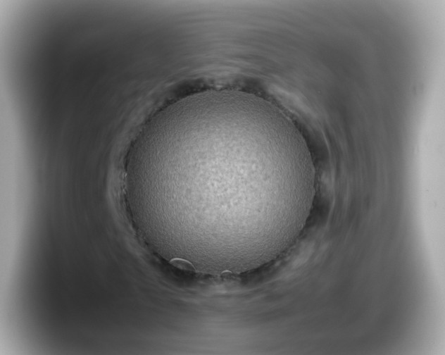 X0000099570865200805231529