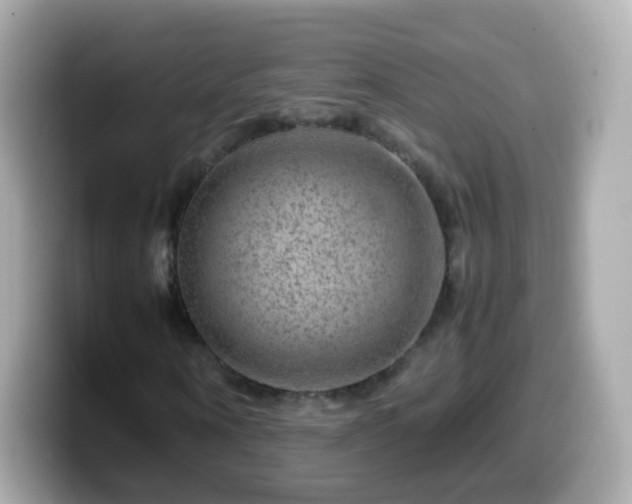 X0000099570866200805231529