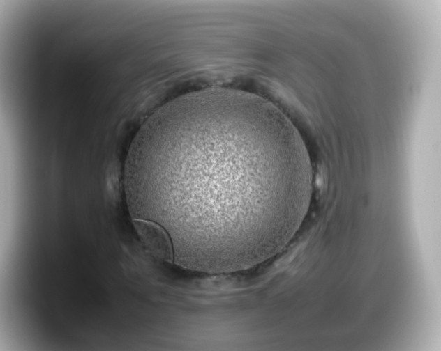 X0000099570867200805231529