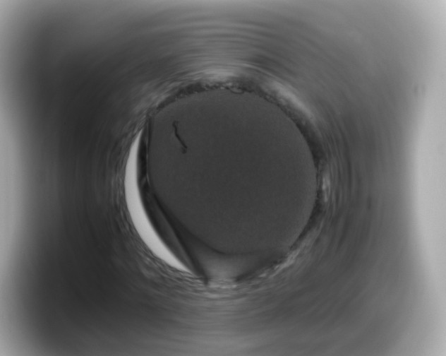 X0000099570868200805231529