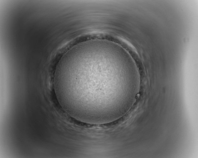 X0000099570869200805231529