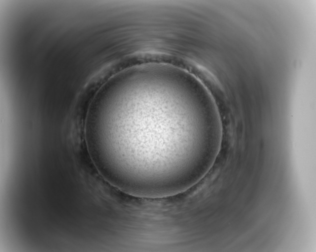 X0000099570870200805231529