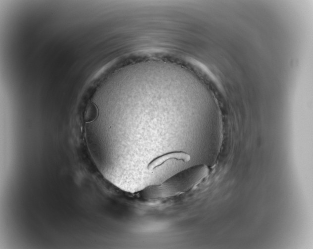 X0000099570871200805231529