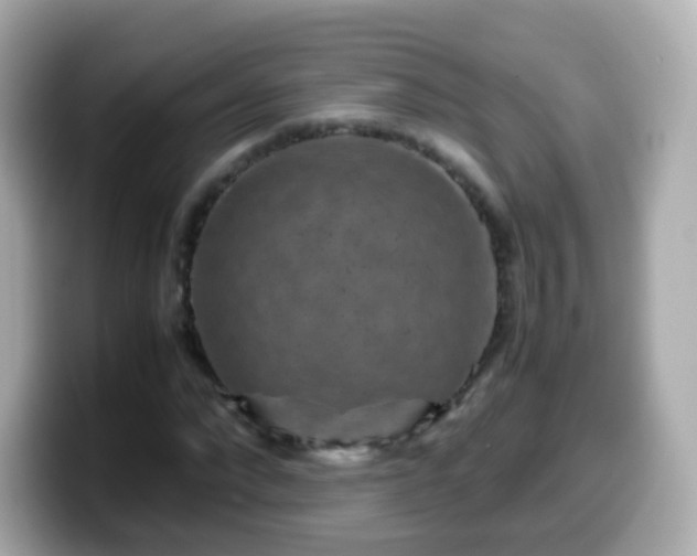 X0000099570872200805231529