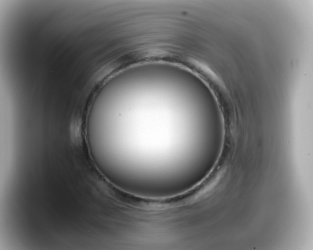 X0000099570873200805231529