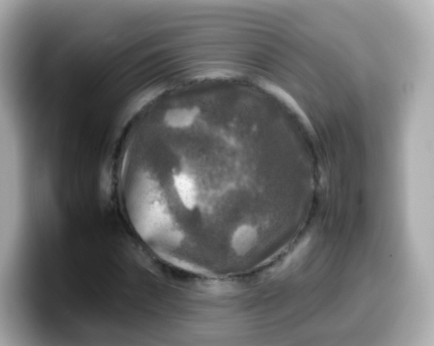 X0000099570874200805231529