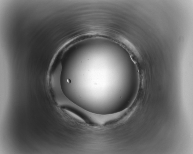 X0000099570876200805231529