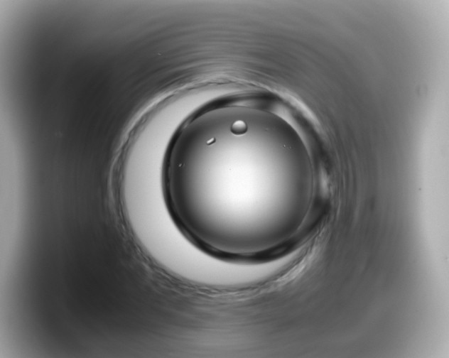 X0000099570877200805231529