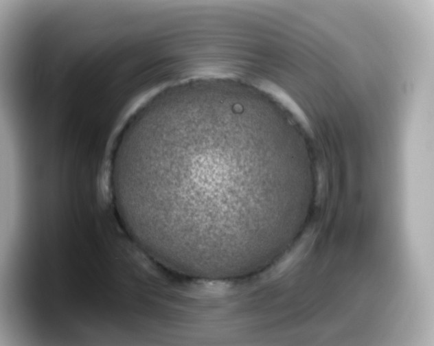 X0000099570878200805231529