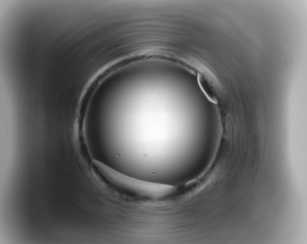 X0000099570880200805231529