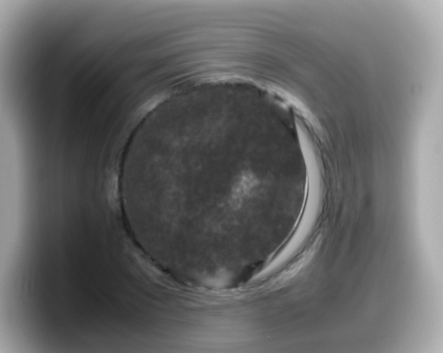 X0000099570881200805231529