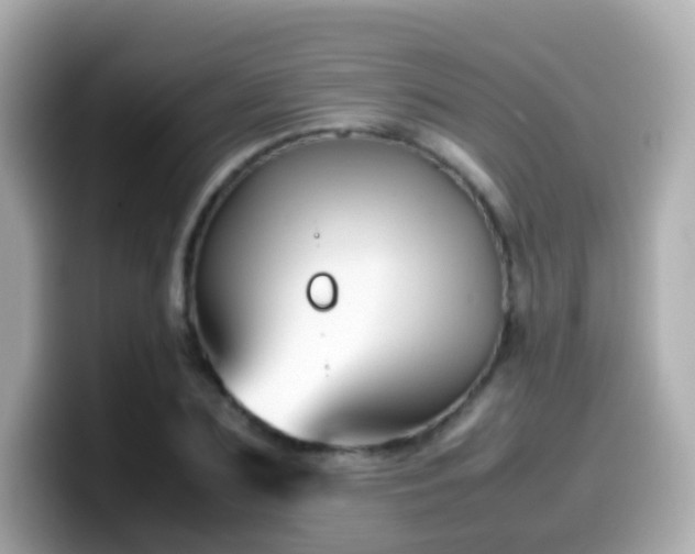 X0000099570883200805231529