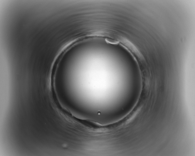 X0000099570884200805231529