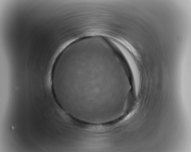 X0000099570885200805231529