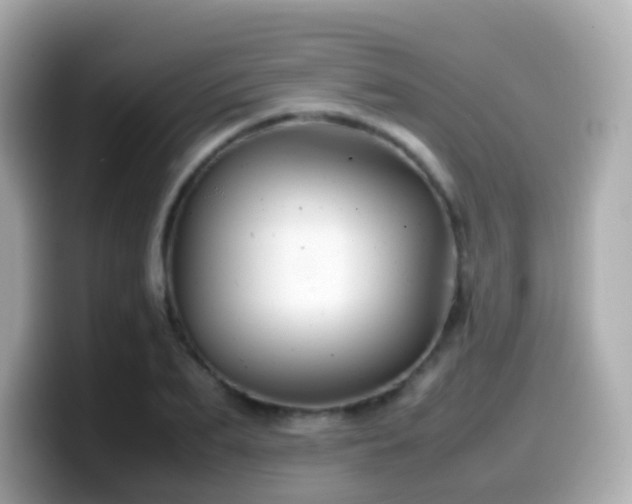 X0000099570887200805231529