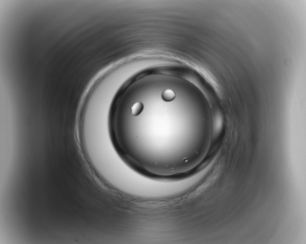 X0000099570888200805231529