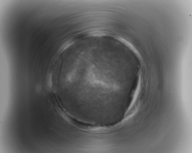 X0000099570889200805231529