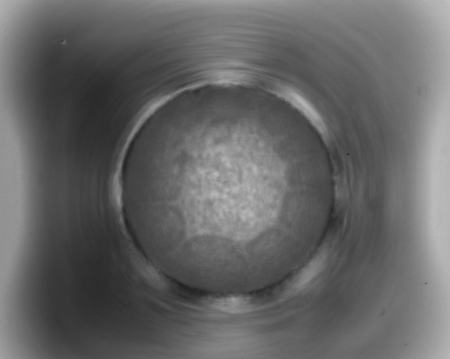 X0000099570891200805231529