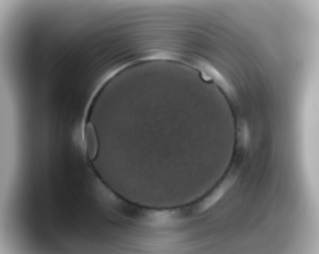 X0000099570892200805231529