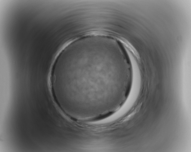 X0000099570893200805231529