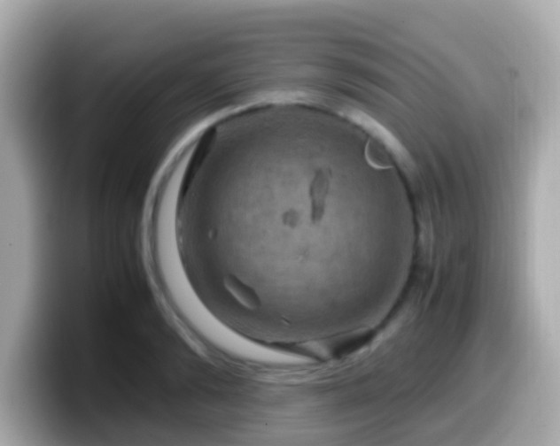 X0000099570894200805231529