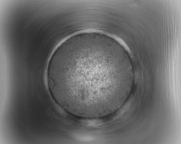 X0000099570895200805231529