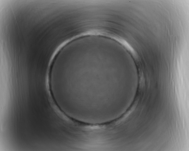 X0000099570896200805231529