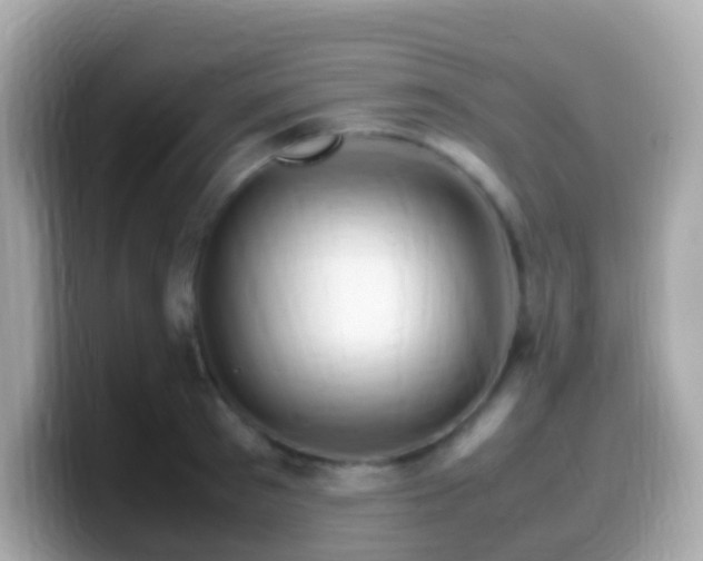 X0000099570897200805231529