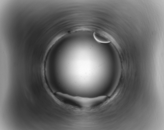 X0000099570898200805231529