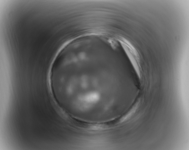 X0000099570899200805231529