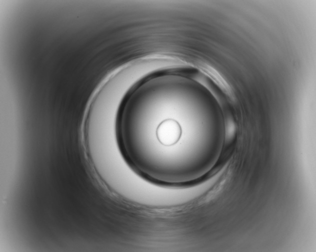 X0000099570900200805231529